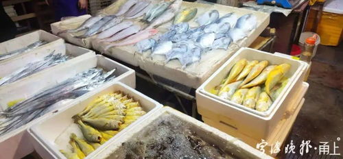 海鮮組合裝價格跳水，消費者餐桌迎來“鮮”機